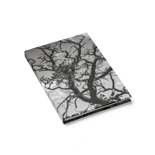 Desert Tree Branches Notebook - Spiral or Hard Cover Ruled