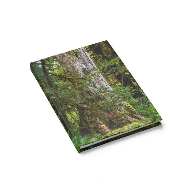 Olympic National Forest Notebook - Spiral or Hard Cover