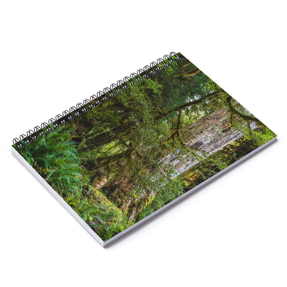 Olympic National Forest Notebook - Spiral