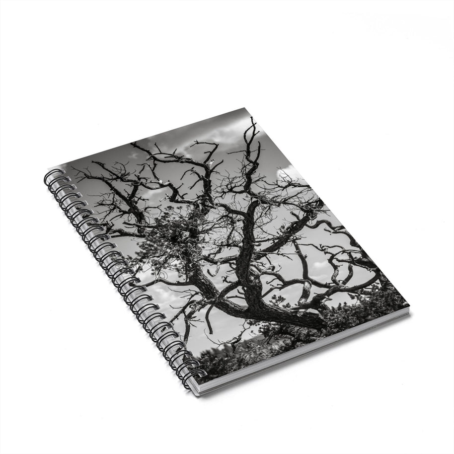 Desert Tree Branches Notebook - Spiral or Hard Cover Ruled