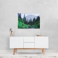 Lush Montana Valley Wall Tapestry Mountains Forest Decor -