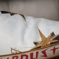 Stardust Motel Retro Sign Atomic Age Throw Pillow Cover Pop