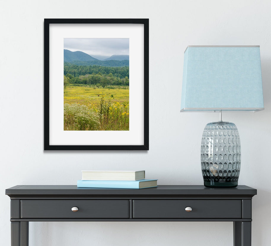 Flowering Meadow Photo Print Smoky Mountains National Park -