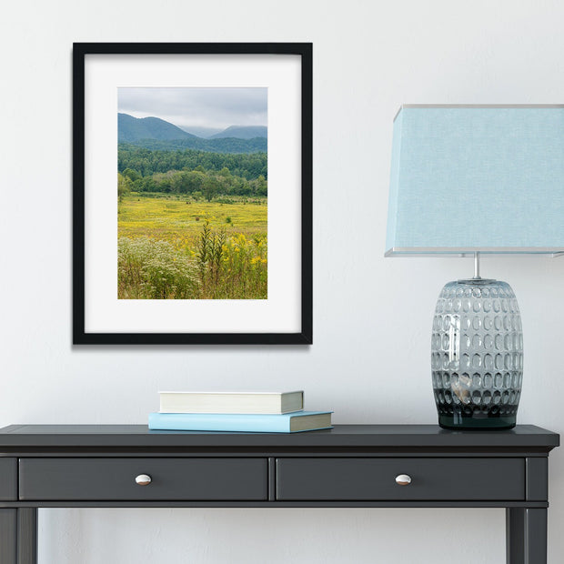 Flowering Meadow Photo Print Smoky Mountains National Park -