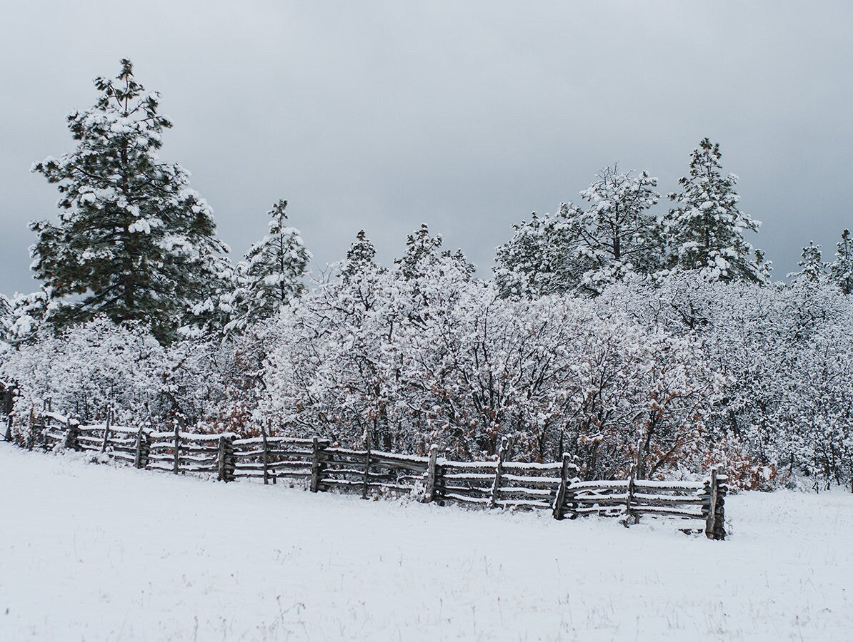 Snowy Ranch Fence Photo Print Winter Photography Colorado