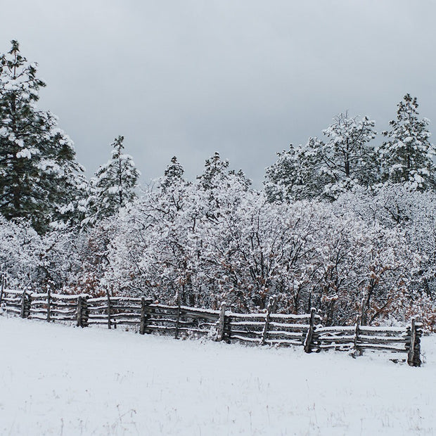 Snowy Ranch Fence Photo Print Winter Photography Colorado