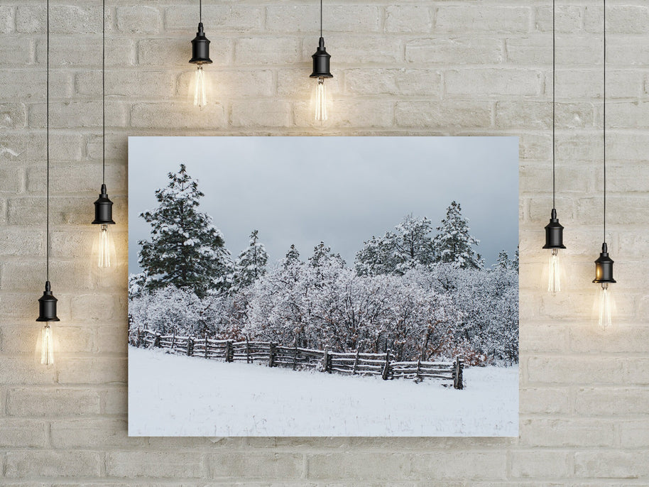 Snowy Ranch Fence Photo Print Winter Photography Colorado