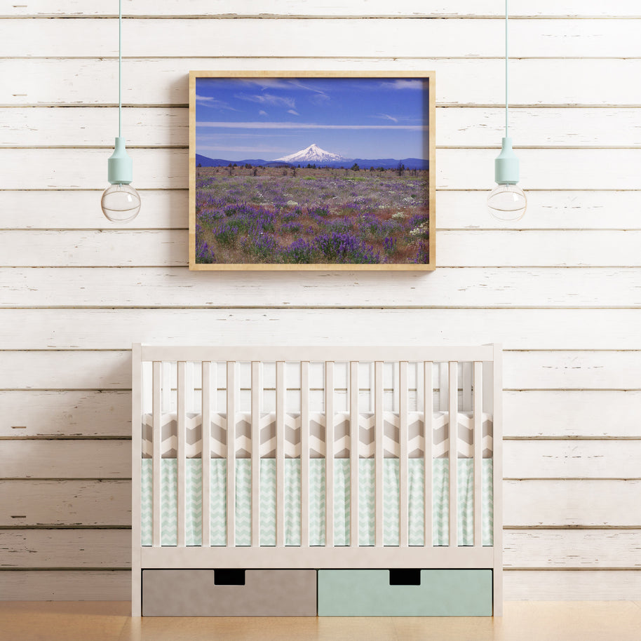 Mt Hood Mountain Photography Oregon Landscape