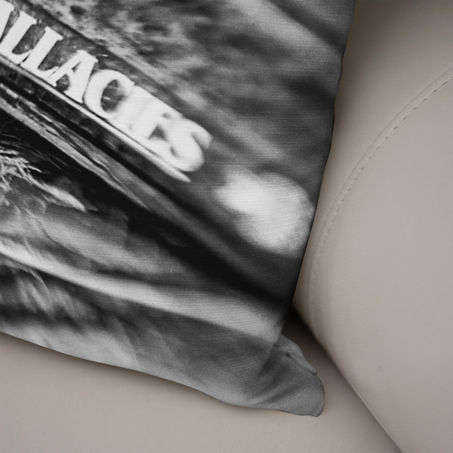 Facts and Fallacies Throw Pillow Couch Cushion Cover -