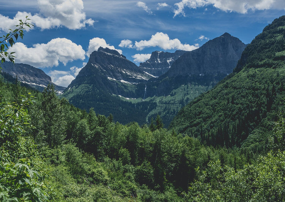 Glacier National Park Photo Print Mountain Through the Trees