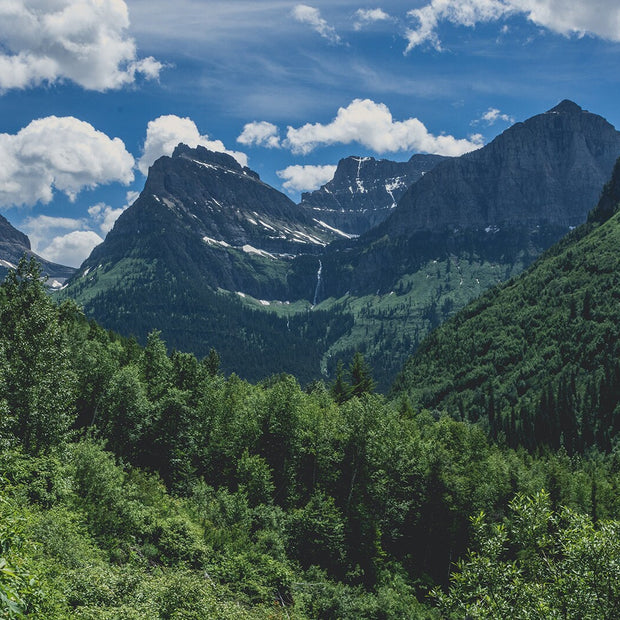 Glacier National Park Photo Print Mountain Through the Trees