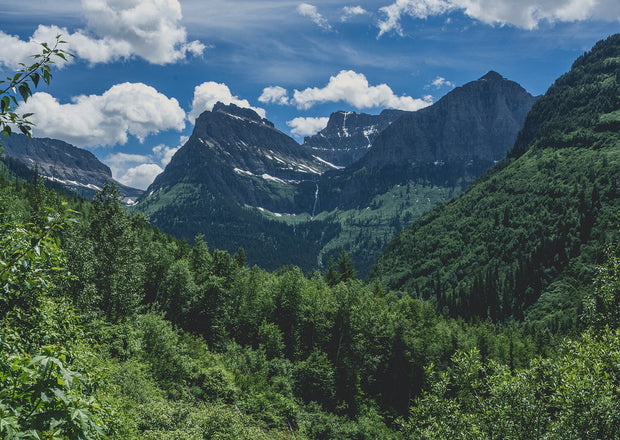 Glacier National Park Photo Print Mountain Through the Trees