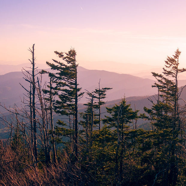 Sunset in the Smoky Mountains Nature Photography