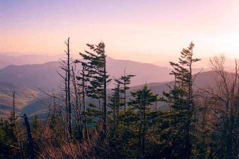 Sunset in the Smoky Mountains Nature Photography