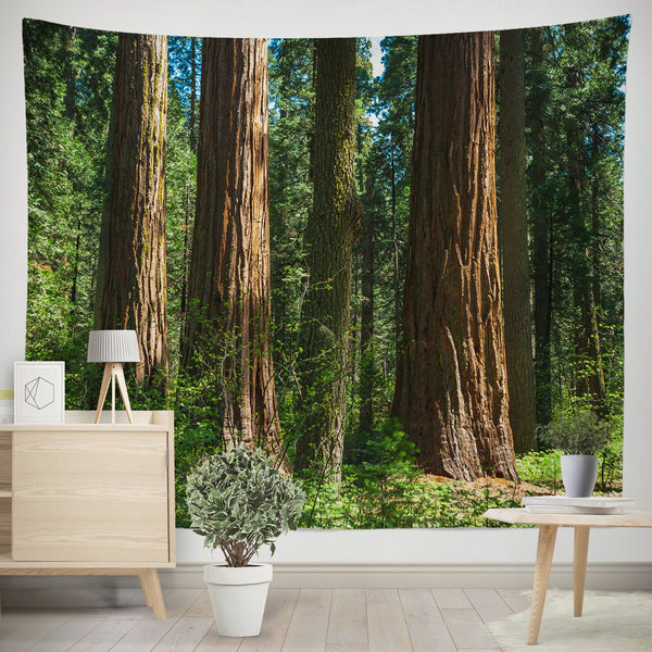 Sequoia Forest Wall Tapestry California Decor - Decorative