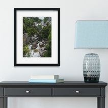 Yosemite Waterfall Rainy Day Photography Scenic Foggy Forest