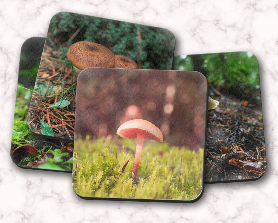 Woodland Mushrooms 4 Piece Coaster Set, Pacific Northwest Forest