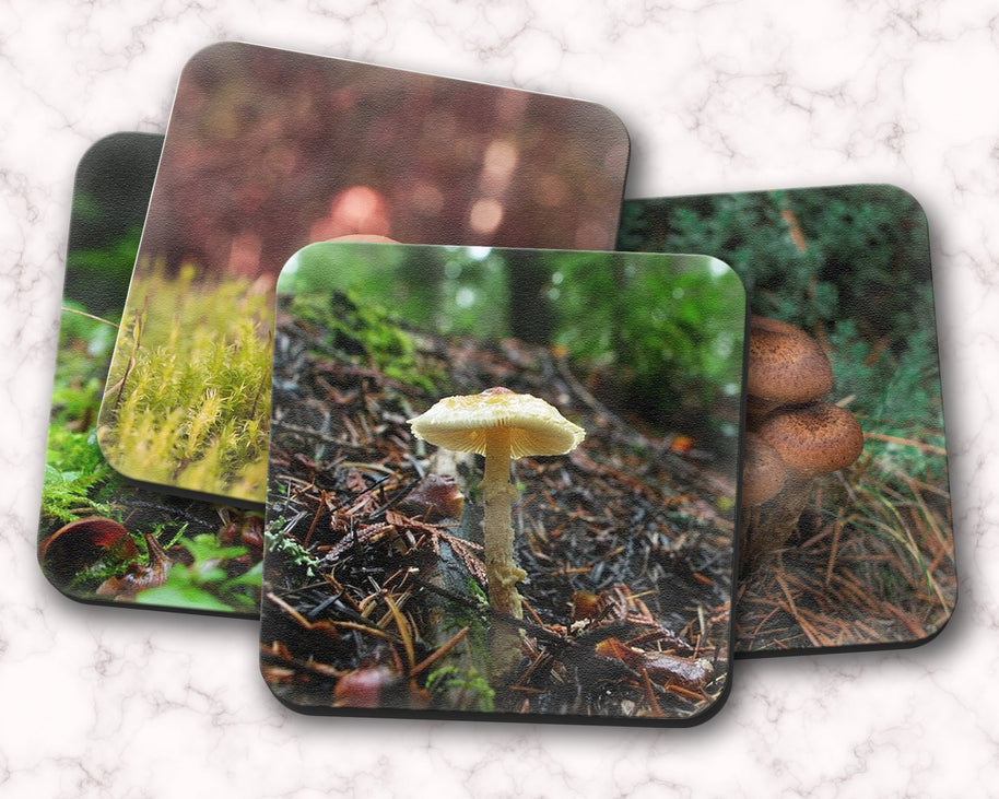Woodland Mushrooms 4 Piece Coaster Set, Pacific Northwest Forest