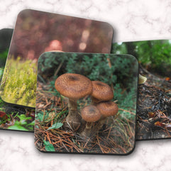 Woodland Mushrooms 4 Piece Coaster Set, Pacific Northwest Forest