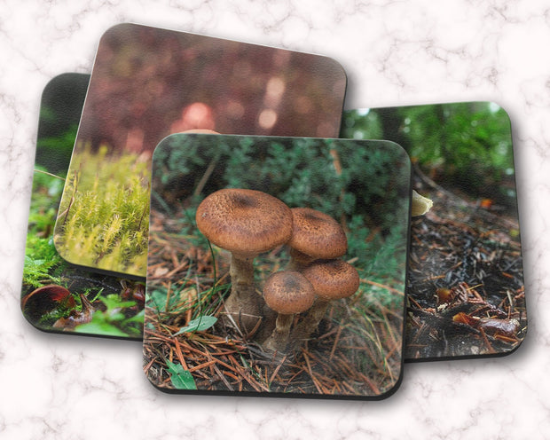 Woodland Mushrooms 4 Piece Coaster Set, Pacific Northwest Forest