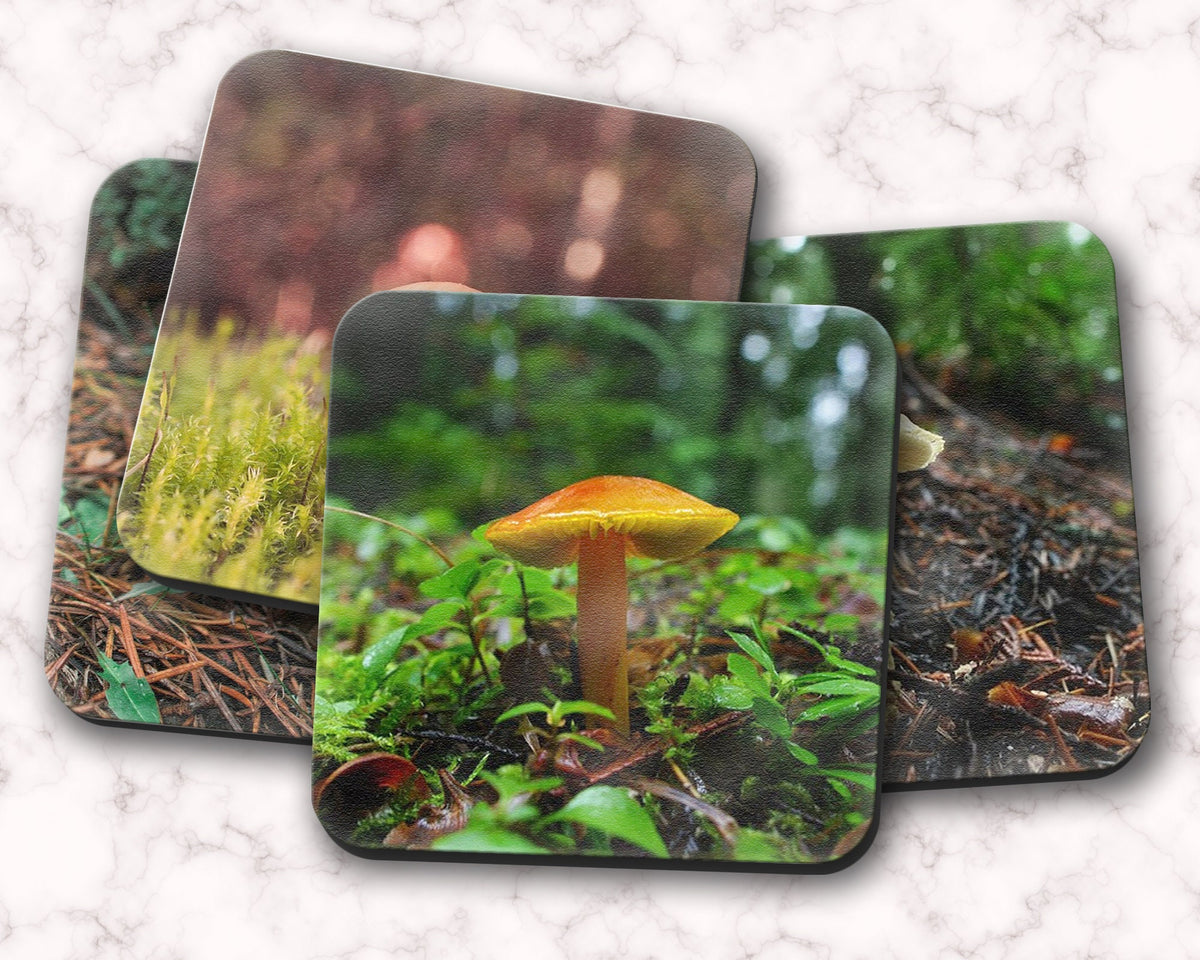 Woodland Mushrooms 4 Piece Coaster Set, Pacific Northwest Forest