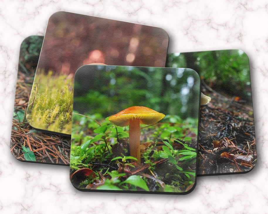 Woodland Mushrooms 4 Piece Coaster Set, Pacific Northwest Forest