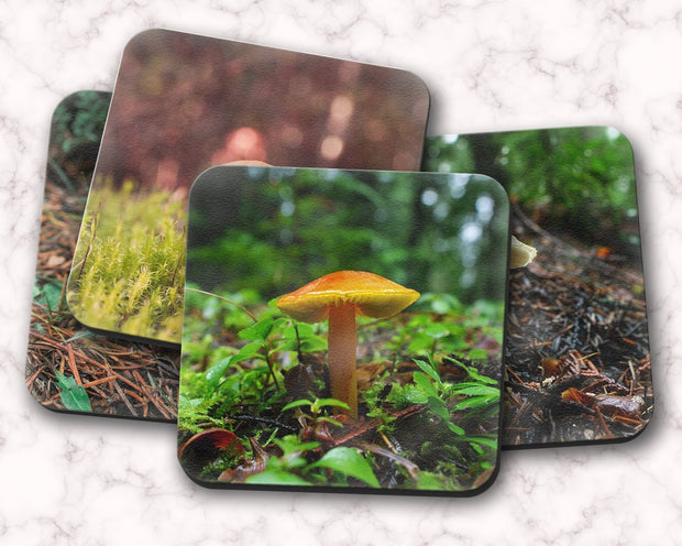 Woodland Mushrooms 4 Piece Coaster Set, Pacific Northwest Forest