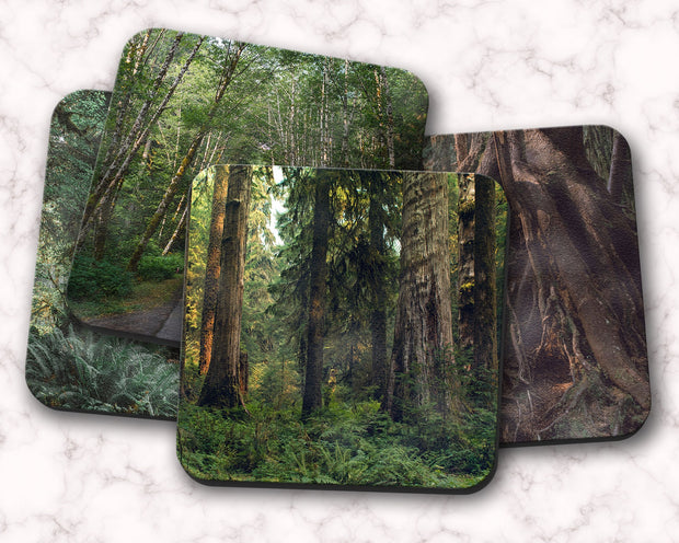 Olympic Forest Coaster Set of 4, Pacific Northwest Rainforest
