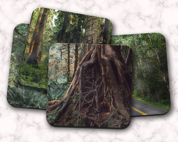 Olympic Forest Coaster Set of 4, Pacific Northwest Rainforest
