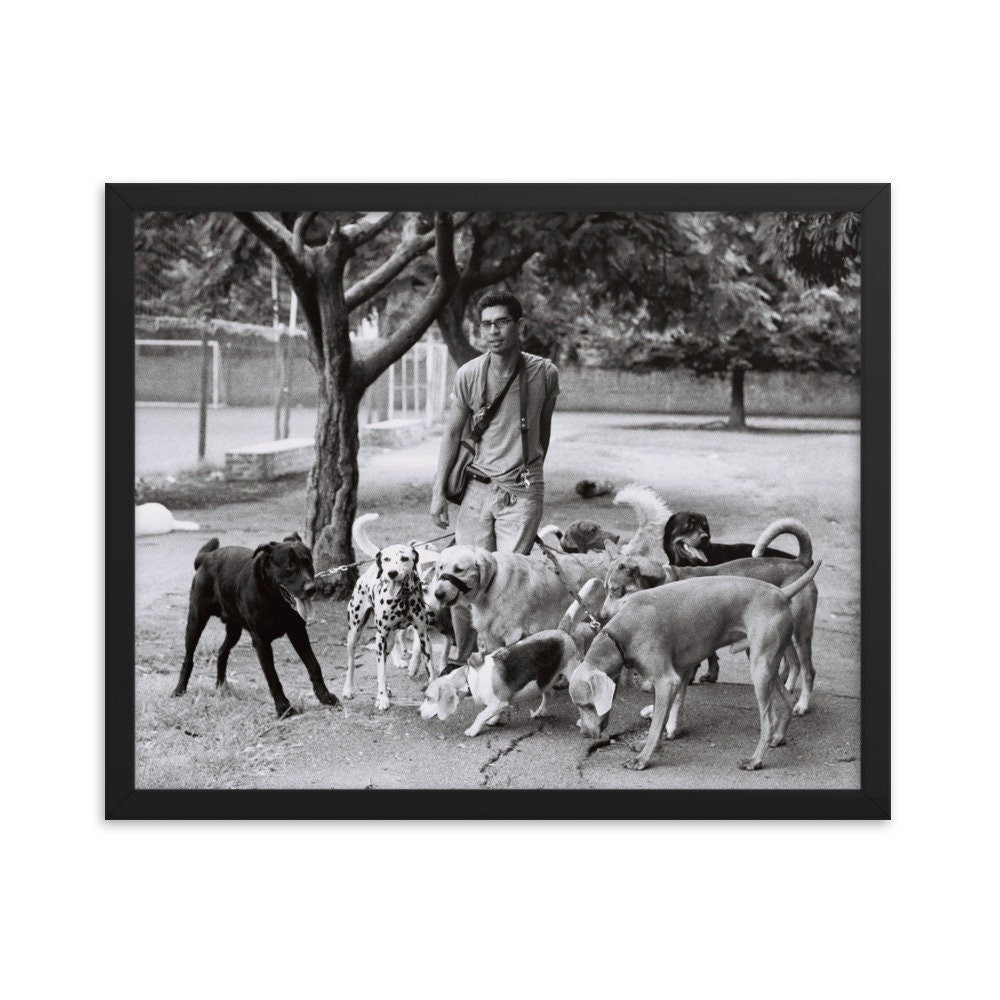 Dog Walker Photo Print Buenos Aires Argentina Wall Art -