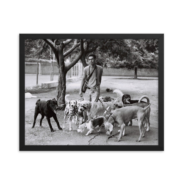 Dog Walker Photo Print Buenos Aires Argentina Wall Art -