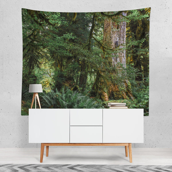 Old Growth Forest Tapestry Olympic Peninsula Nature -