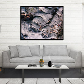 Marbled Roots Photographic Print Washington Coast Olympic