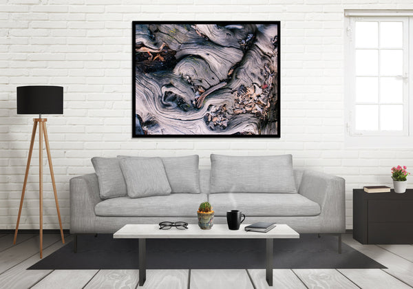 Marbled Roots Photographic Print Washington Coast Olympic