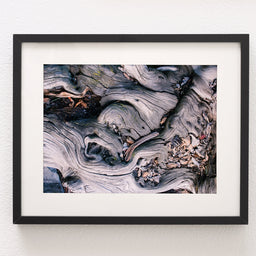 Marbled Roots Photographic Print Washington Coast Olympic
