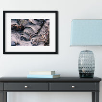Marbled Roots Photographic Print Washington Coast Olympic