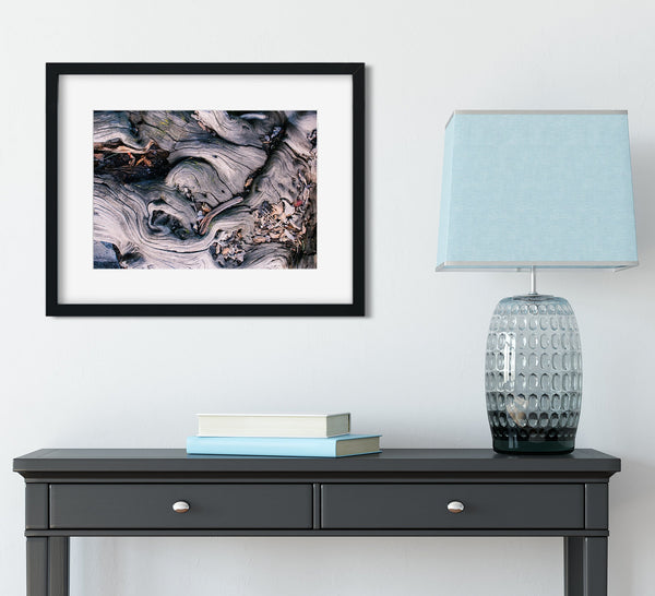 Marbled Roots Photographic Print Washington Coast Olympic