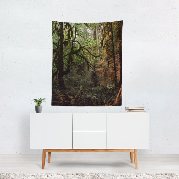 Mystic Forest Tapestry Olympic National Park Pacific