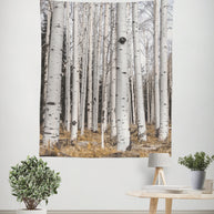 Tall Birch Trees Wall Tapestry Forest - Decorative