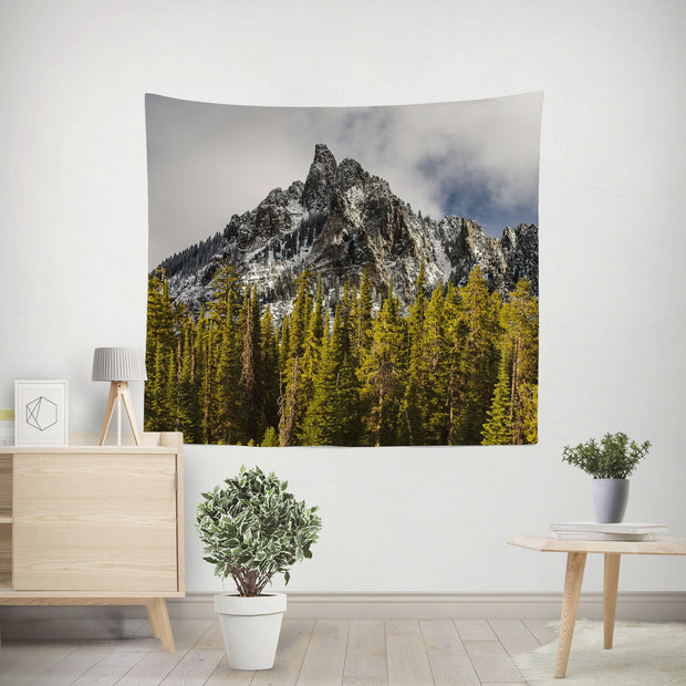 Mountain Peak and Forest Tapestry Telluride Summit Colorado