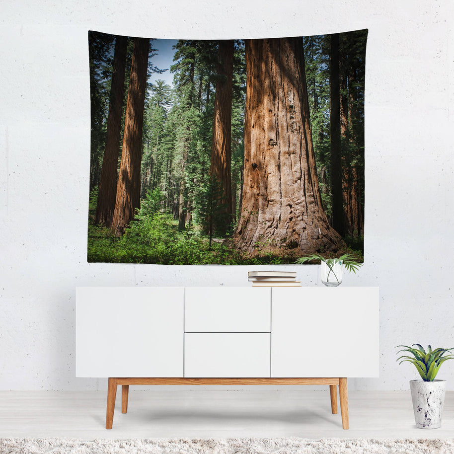 Giant Sequoia Trees Wall Tapestry - Decorative Tapestries