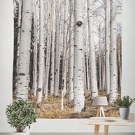 Tall Birch Trees Wall Tapestry Forest - Decorative