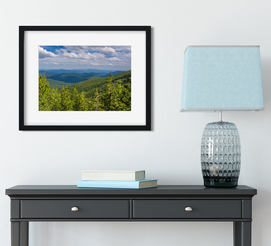 Northwest Forest Scenic View Photo Print Washington Nature