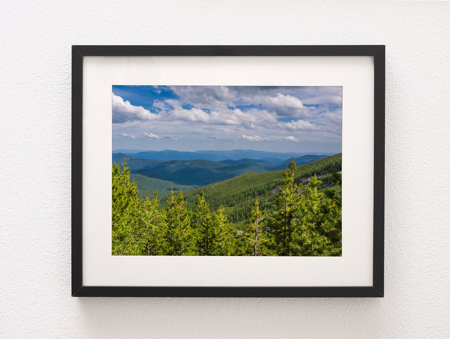 Northwest Forest Scenic View Photo Print Washington Nature