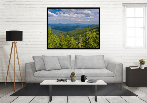 Northwest Forest Scenic View Photo Print Washington Nature