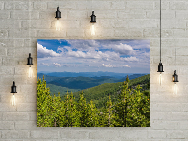 Northwest Forest Scenic View Photo Print Washington Nature