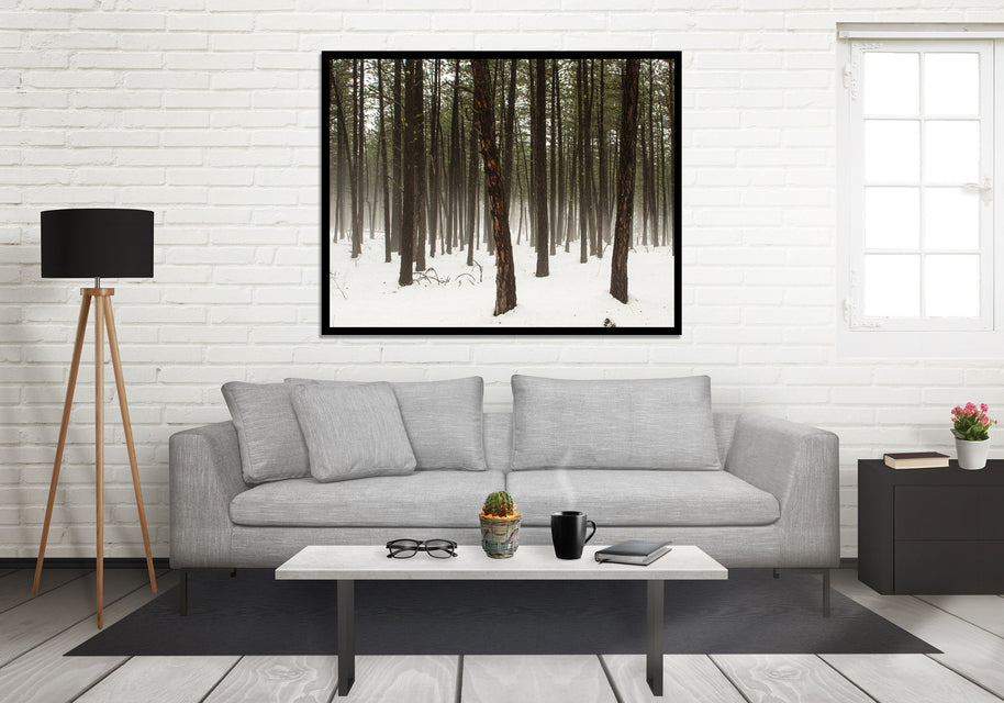 Foggy Pine Trees Minimalist Wall Art Washington Nature