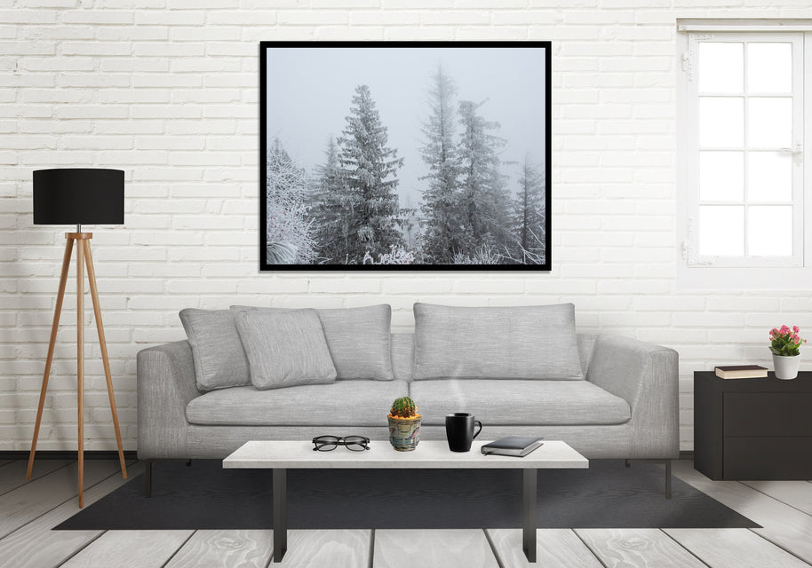 Snowy Winter Forest Photo Print Idaho Nature Photography