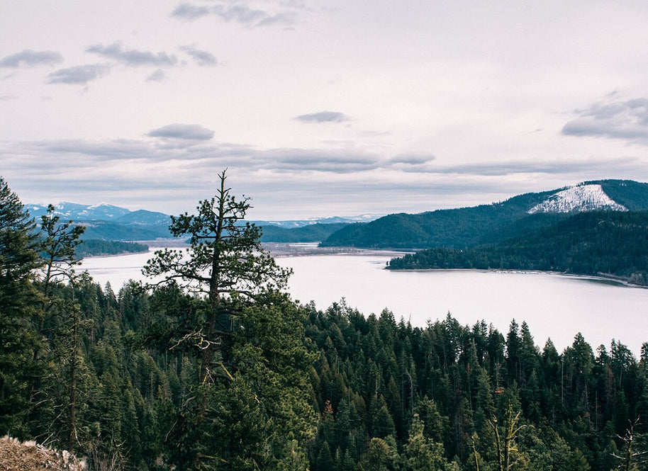 Scenic Lake Overlook Nature Photography Forest Mountain Wall