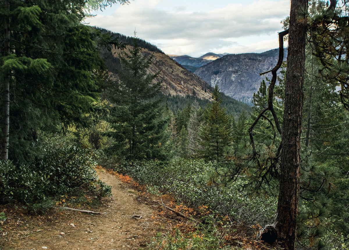 Pacific Northwest Mountains Nature Photography Washington